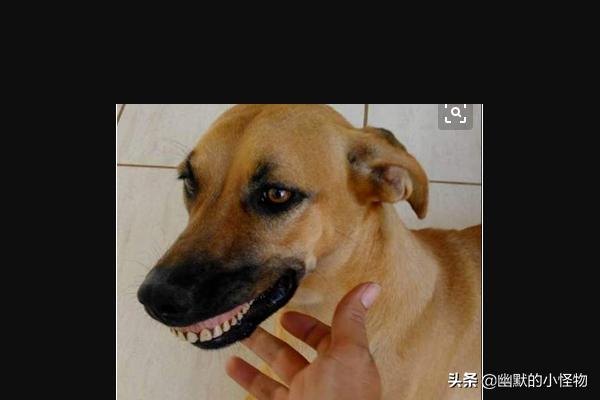 20221114112139_29278