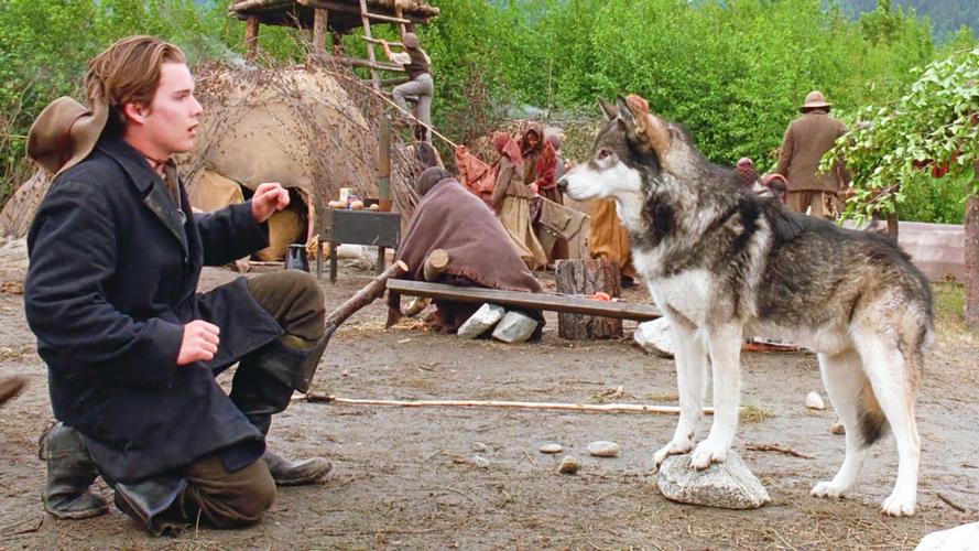 雪地黄金犬3(雪地黄金犬 *** 观看完整版免费) - 警犬训练器材厂家 _警犬训练用品_工作犬训练用品-南京开久警犬装备-警犬训练器材厂家 _警犬训练用品_工作犬训练用品-南京开久警犬装备