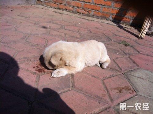 20221114133017_11934