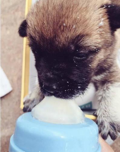 20221114133017_28000