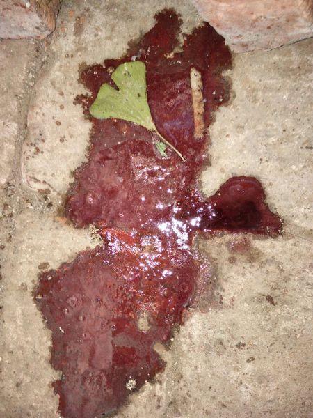 小狗有点拉稀怎么办(宠物狗拉肚子怎么办) - 警犬训练器材厂家 _警犬训练用品_工作犬训练用品-南京开久警犬装备-警犬训练器材厂家 _警犬训练用品_工作犬训练用品-南京开久警犬装备