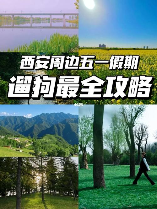 20221114133230_80493