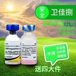 幼犬能打7联疫苗吗(给幼犬打疫苗教程)-警犬训练器材厂家 _警犬训练用品_工作犬训练用品-南京开久警犬装备