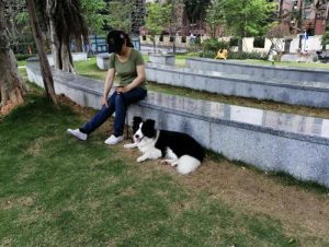 2019深圳不禁狗的公园-警犬训练器材厂家 _警犬训练用品_工作犬训练用品-南京开久警犬装备