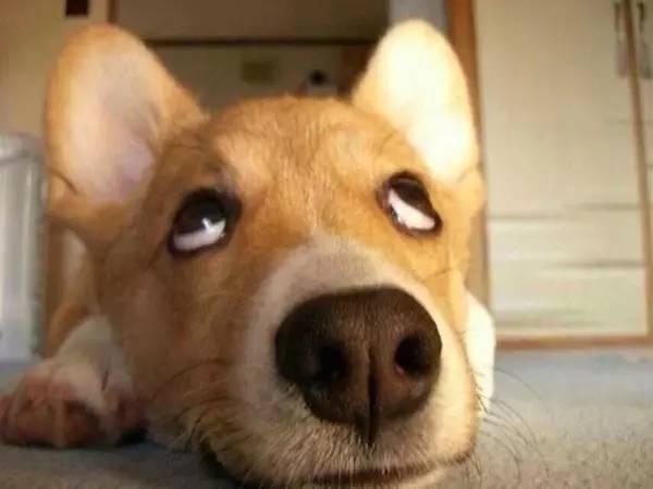 20221114135116_20435