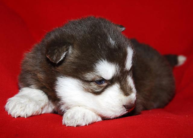 20221114135116_22944