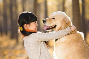 关于狗狗打疫苗的4个误区-警犬训练器材厂家 _警犬训练用品_工作犬训练用品-南京开久警犬装备