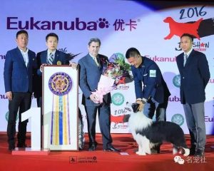 国内知名犬舍名单(国内知名的喜乐蒂犬舍)-警犬训练器材厂家 _警犬训练用品_工作犬训练用品-南京开久警犬装备