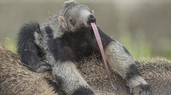 20221114145148_16558