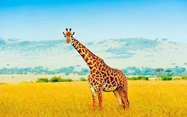 20221114145148_20820