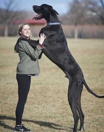 20221114163850_12642 20221114163850_12642