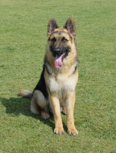 20221114163850_73913 20221114163850_73913