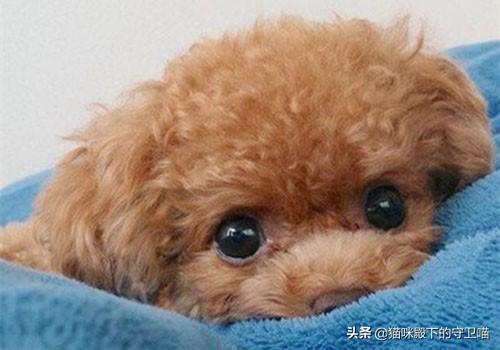 20221114164401_18674