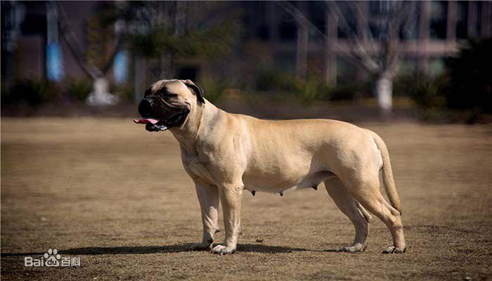 20221114171400_36606