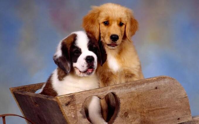 20221114172244_61958