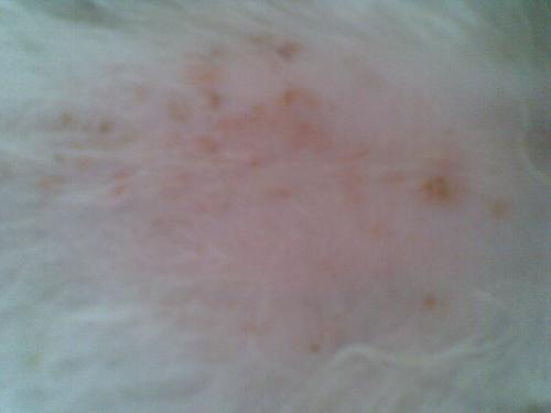 20221114174729_92248 20221114174729_92248