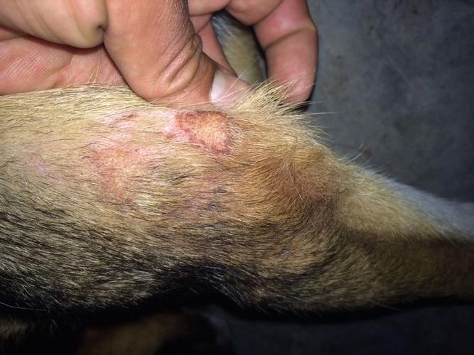 20221114174730_82465 20221114174730_82465