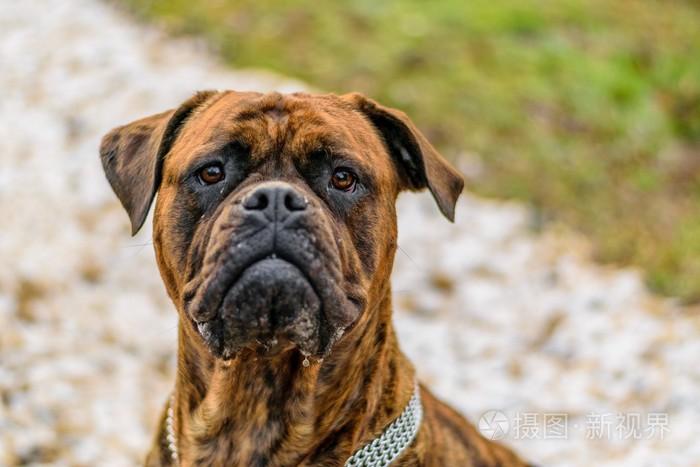 20221114175334_45034 20221114175334_45034