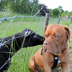 20221114175335_38724 20221114175335_38724