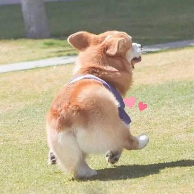 20221114175408_75208