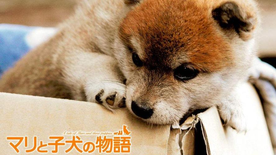 20221114182832_56737