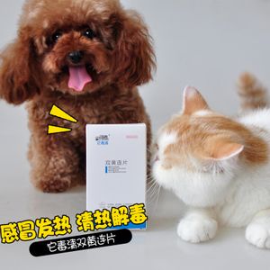 细小病毒狗狗用什么药-警犬训练器材厂家 _警犬训练用品_工作犬训练用品-南京开久警犬装备