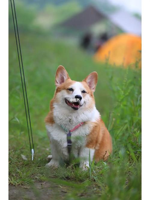 20221114184700_71865