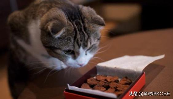 20221114184725_90856 20221114184725_90856