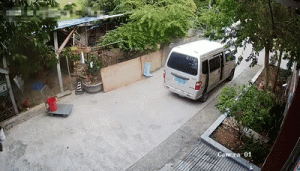 东莞狗狗(东莞狗狗救助站在哪里)-警犬训练器材厂家 _警犬训练用品_工作犬训练用品-南京开久警犬装备