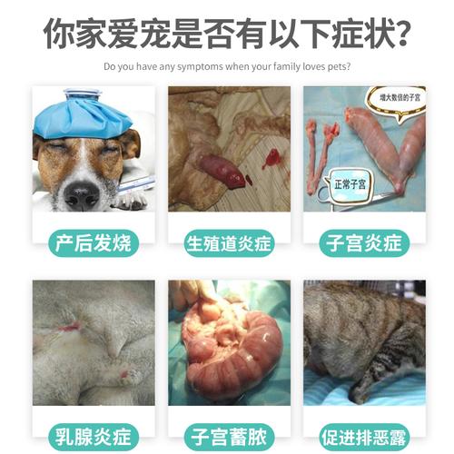 20221114204340_69055 20221114204340_69055