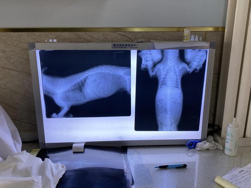 20221114204340_79676 20221114204340_79676