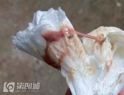 20221114204341_66108 20221114204341_66108