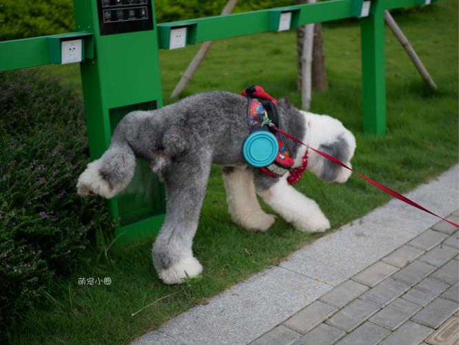 20221114205229_79336 20221114205229_79336