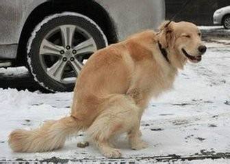 20221114205230_99730 20221114205230_99730