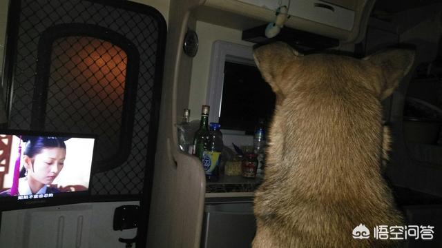 20221114211554_36189