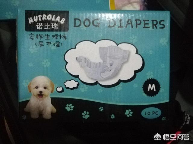 20221114211555_19797 20221114211555_19797