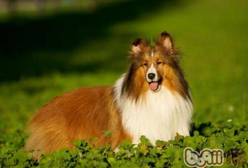 20221114211700_81920 20221114211700_81920