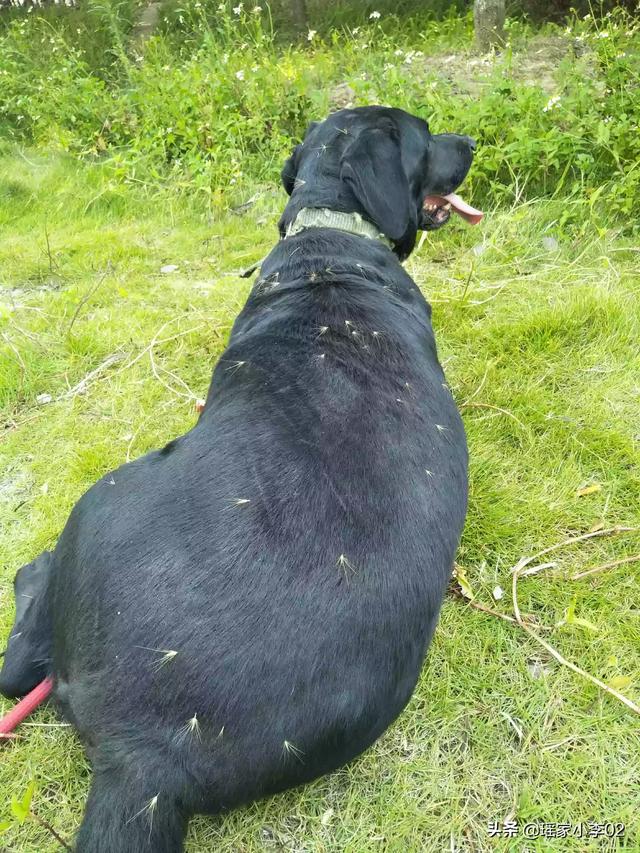 20221114213811_34588