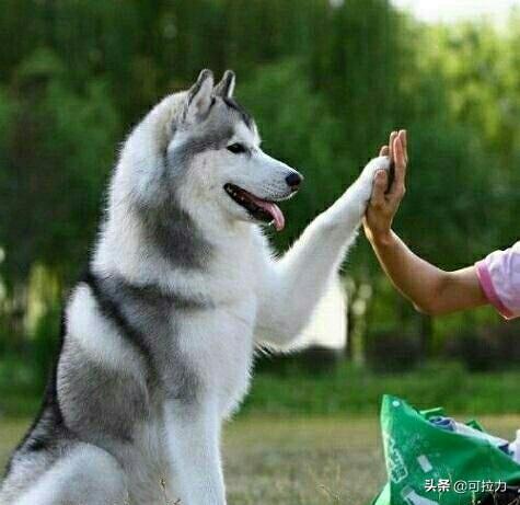 20221114215103_64790