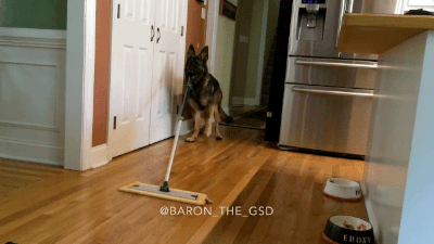 20221114220932_66033