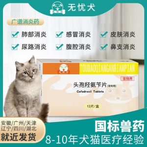 狗感冒吃什么药？狗狗预防感冒吃什么药-警犬训练器材厂家 _警犬训练用品_工作犬训练用品-南京开久警犬装备