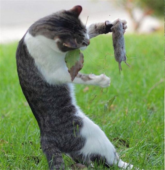 20221114222601_99717