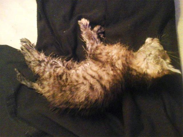 20221114222602_18136