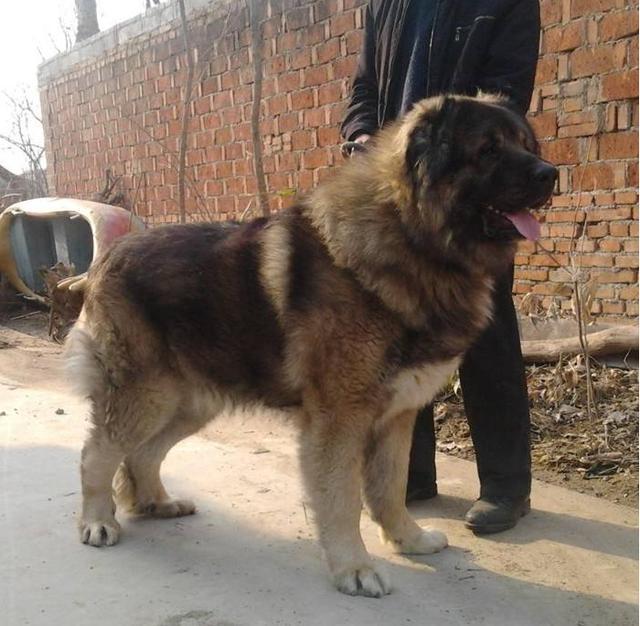 20221114223528_86912