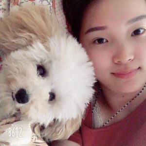 宠物狗什么狗最好养(买宠物狗买什么狗最好)-警犬训练器材厂家 _警犬训练用品_工作犬训练用品-南京开久警犬装备