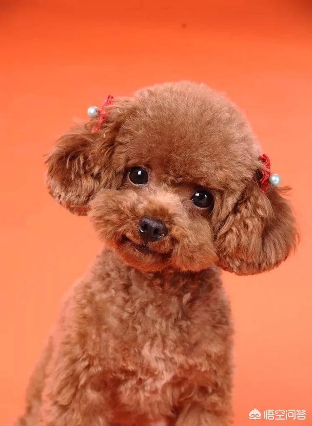 20221114232912_23066 20221114232912_23066