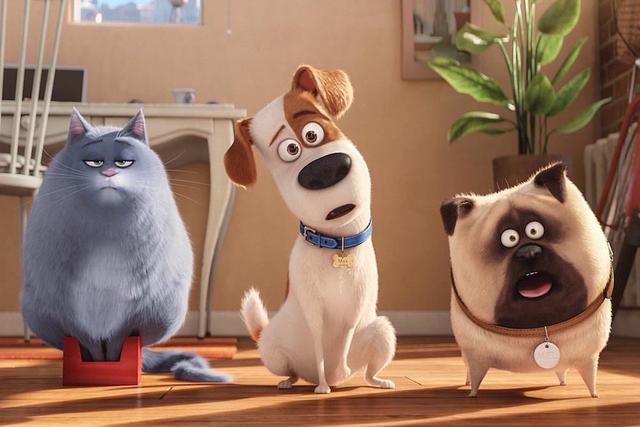 20221114232951_79828