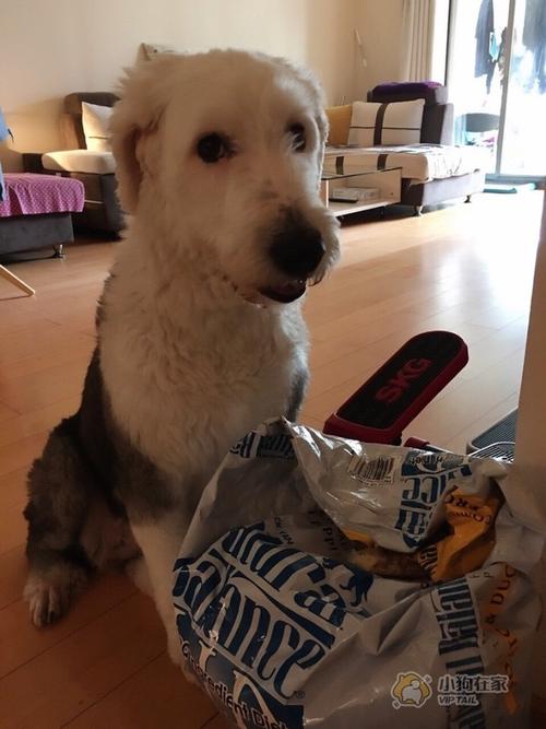 20221114233523_33149