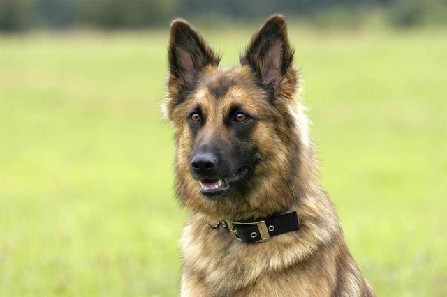 20221114234519_65273 20221114234519_65273