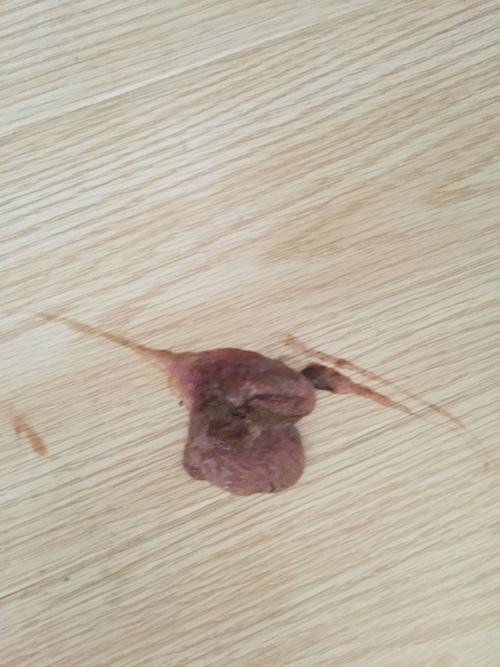 20221114234926_68473 20221114234926_68473